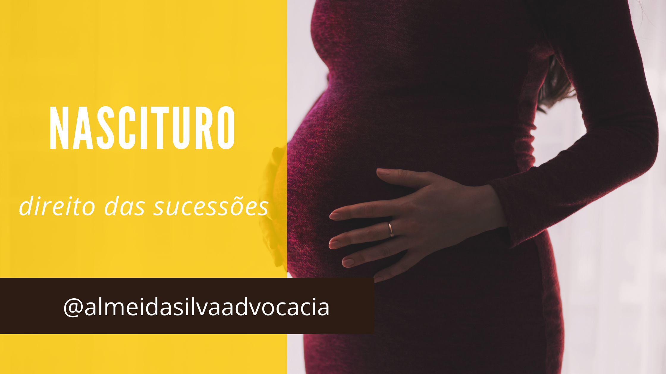 Nascituro: direito a vida, direito a alimentos